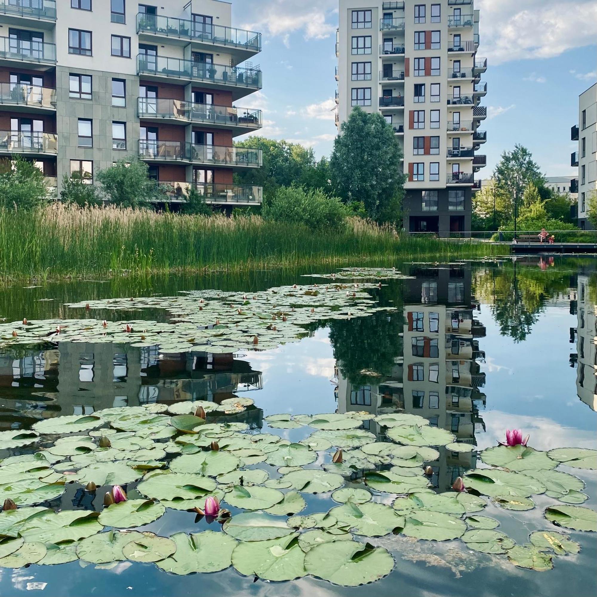 Tuyo Park Apartment Warsaw